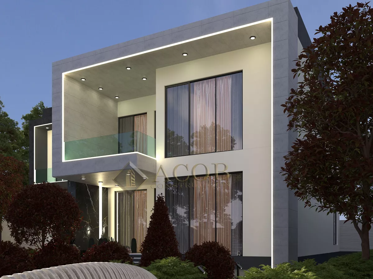 Chicago project