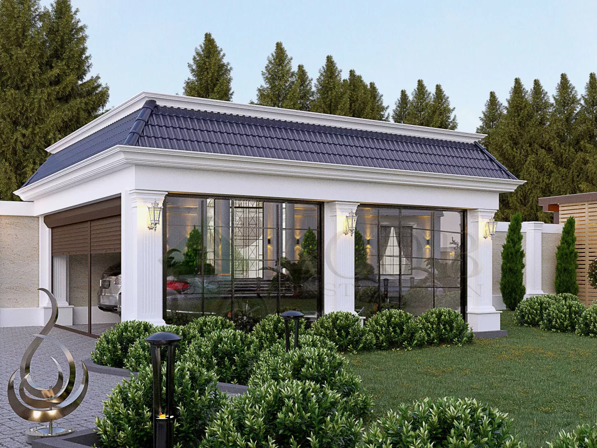 White - House 1